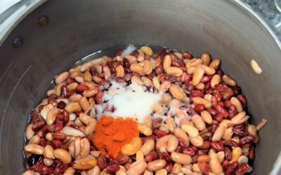 Instant Rajma Masala – No Soak Required
